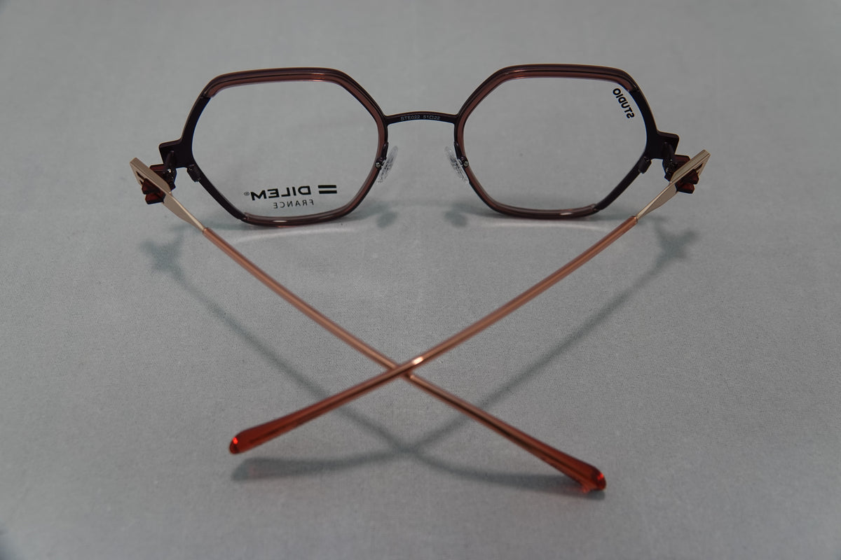 Dil-STE02 c.2