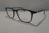 Alium Walk 3 c.9430