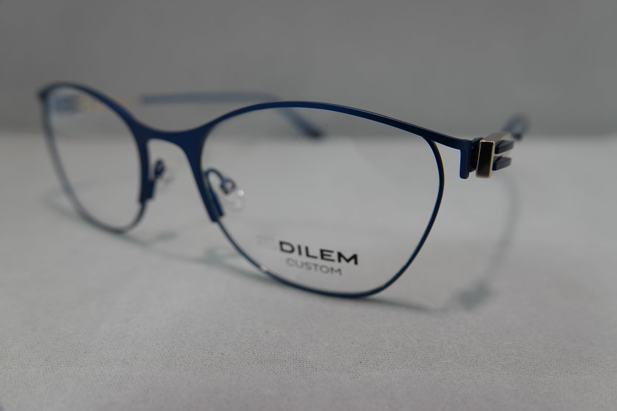 Dilem-RACO4 c.3