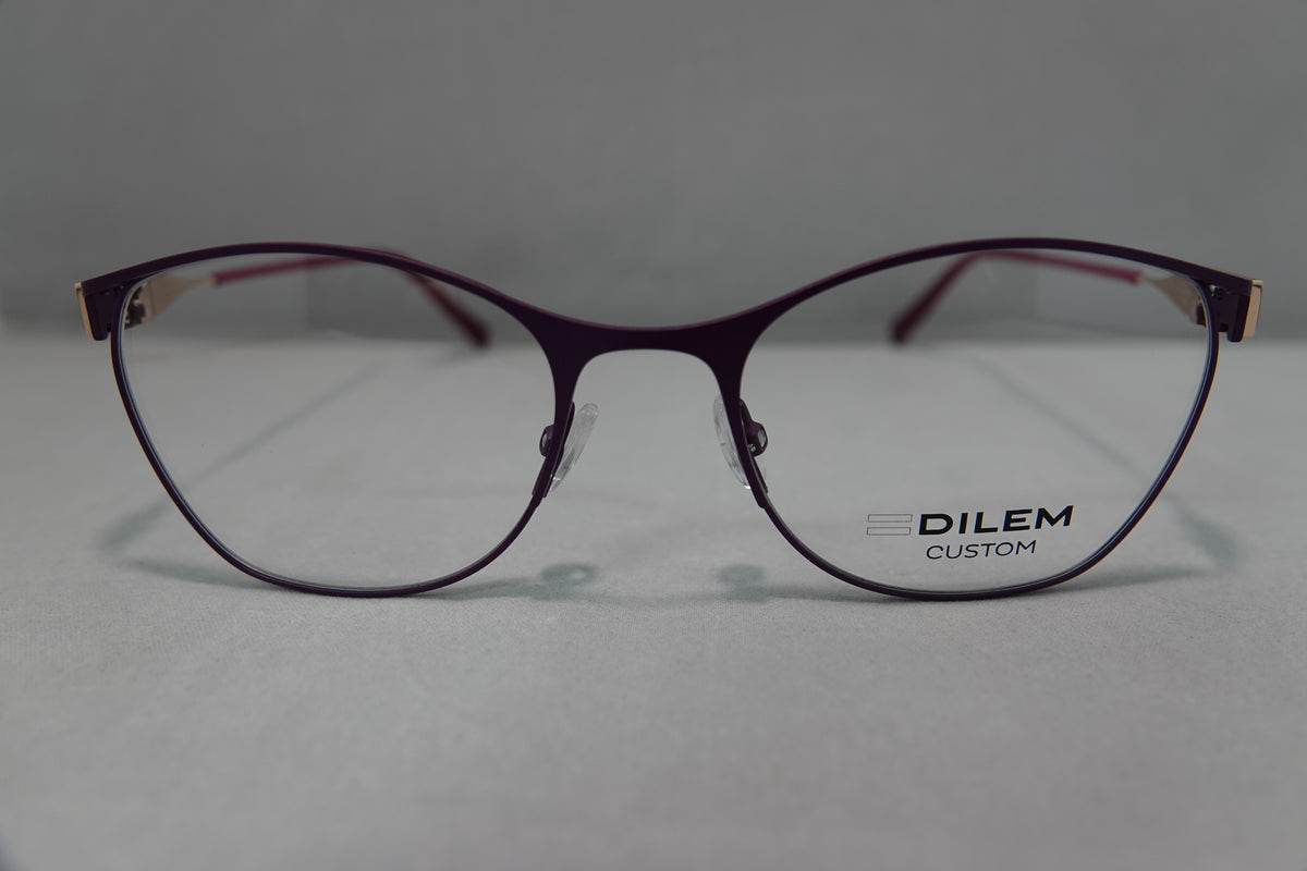 Dilem-RACO4 c.2