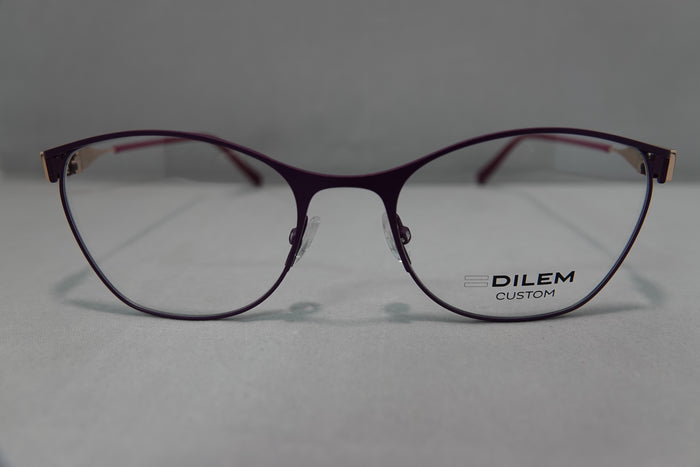 Dilem-RACO4 c.2