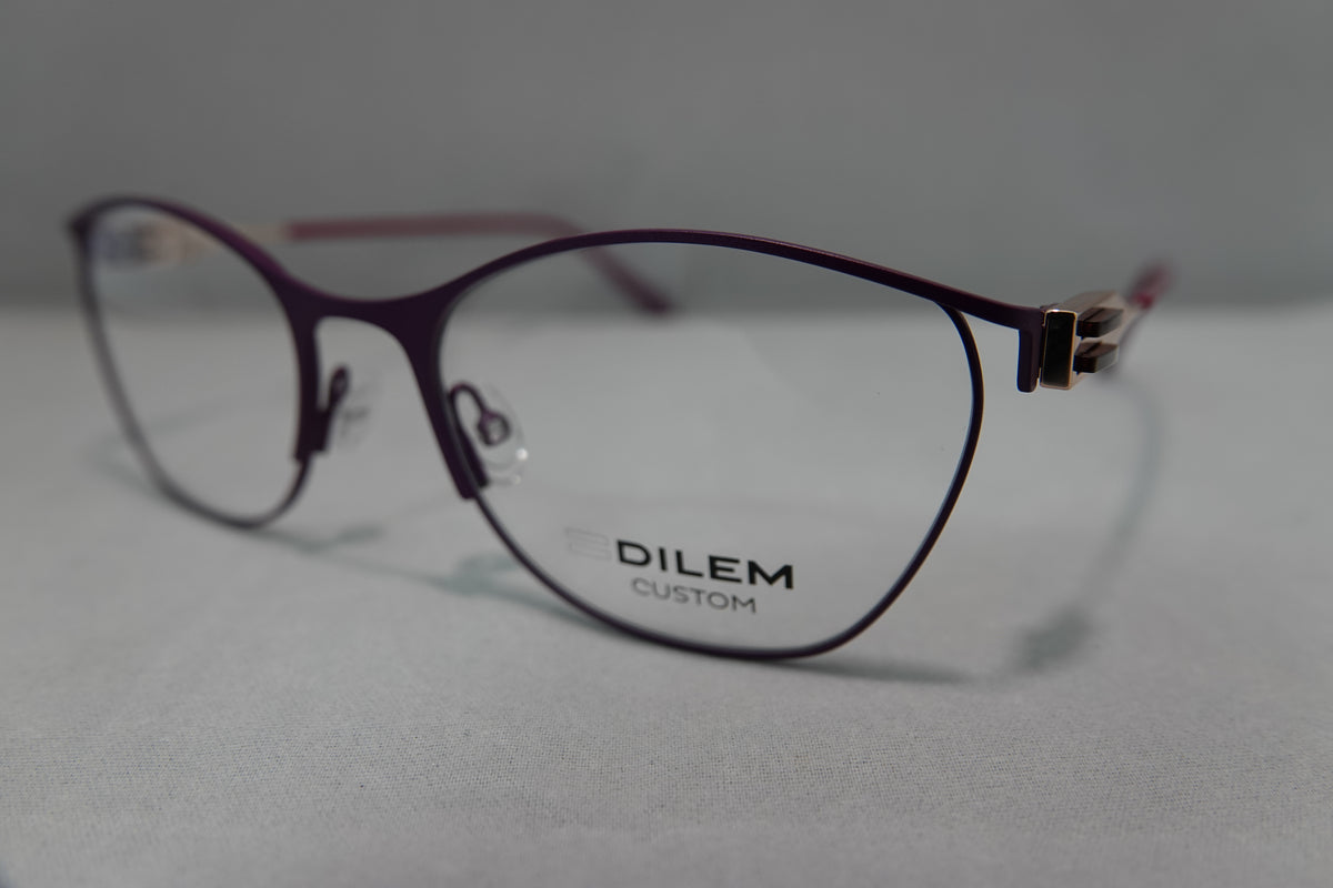 Dilem-RACO4 c.2